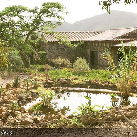 Live Finca San Miguel Сан Мигел де Абона Екстериор снимка