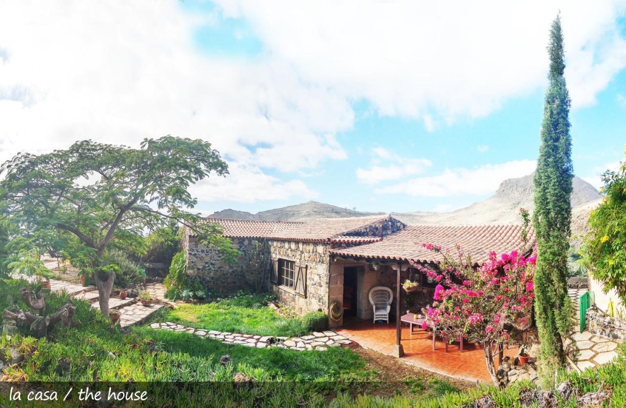 Live Finca San Miguel Сан Мигел де Абона Екстериор снимка